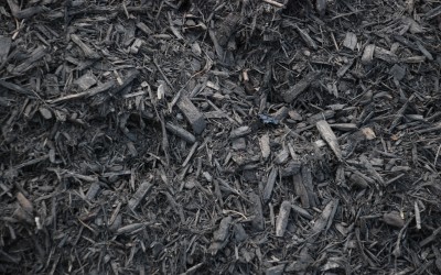 Mulch & Top Soil